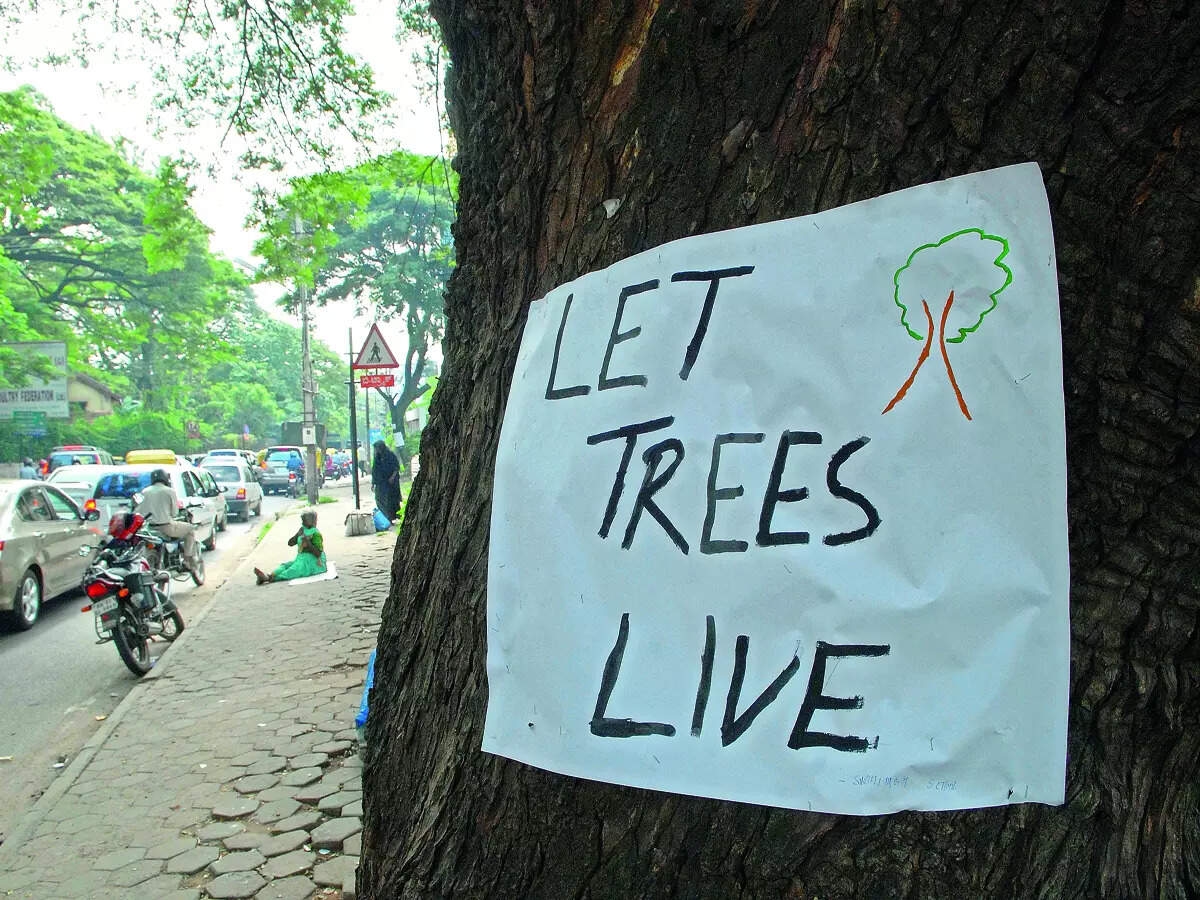 Railways asked to justify need to axe 84 heritage trees