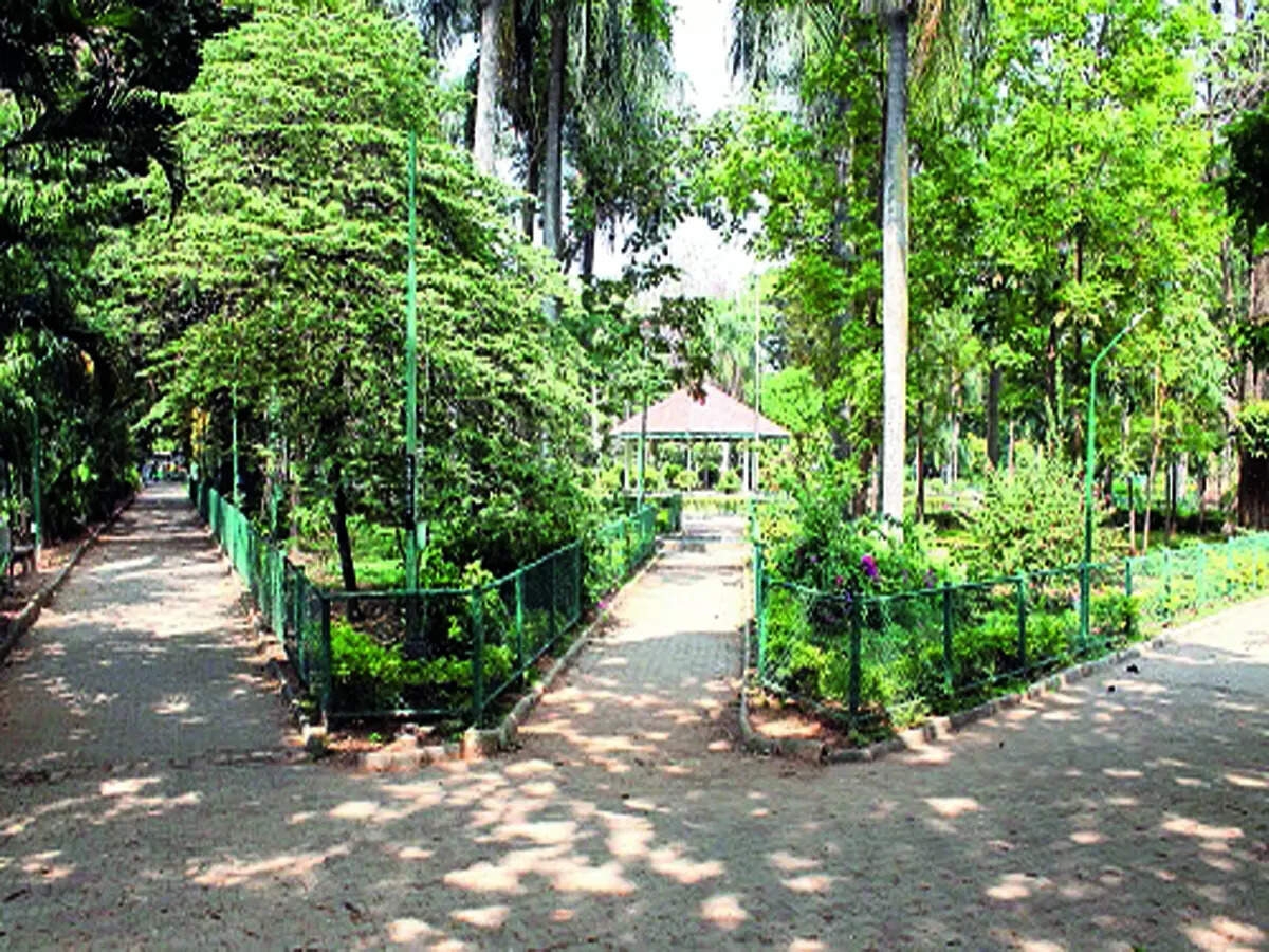 Without security, citizens wary about late evening walks in park