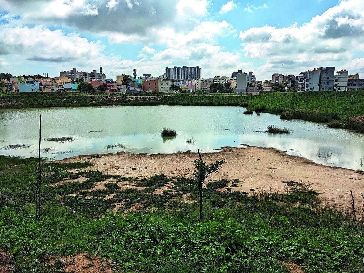 MP orders fencing, Shikaripalya lake gets lifeline