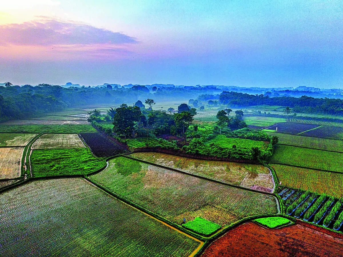 Talewadi relocation under scanner after complaint