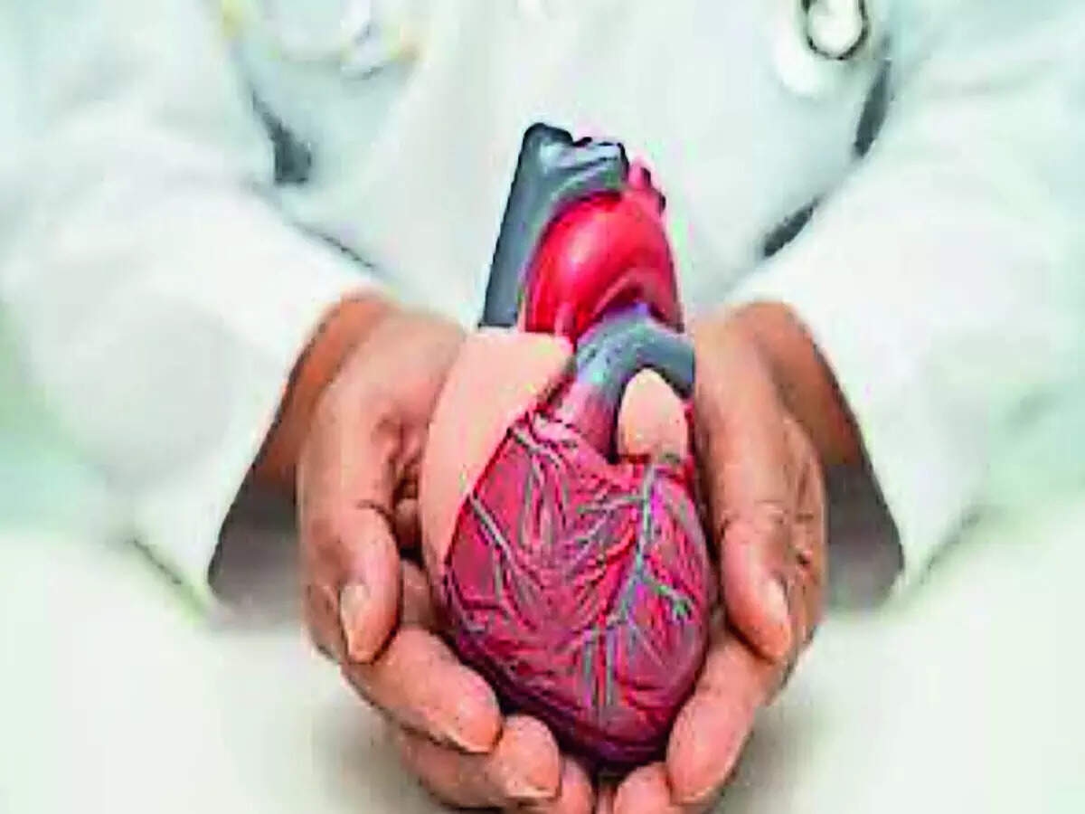 Panel advises cardiac screenings from age 15, creation of registry