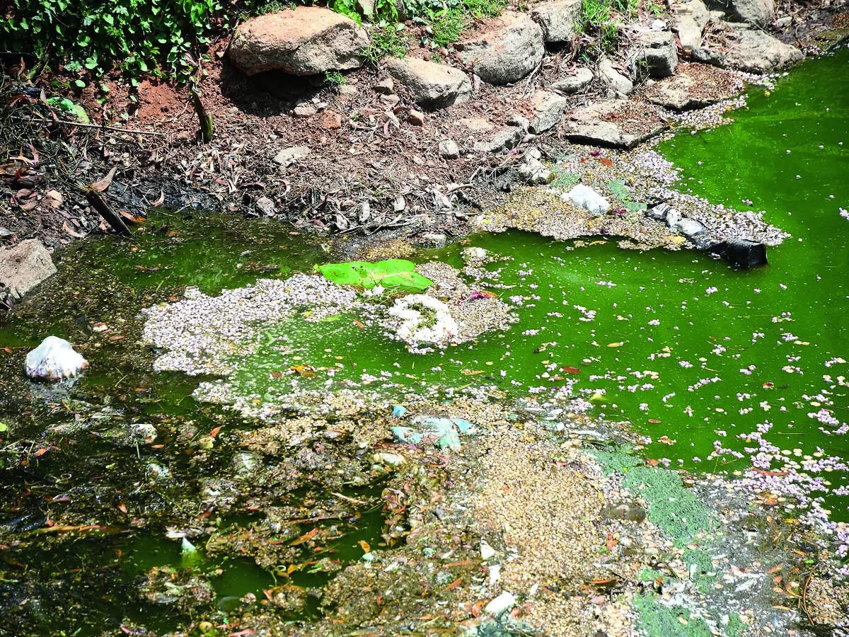 Report reveals worst water quality in 47 lakes