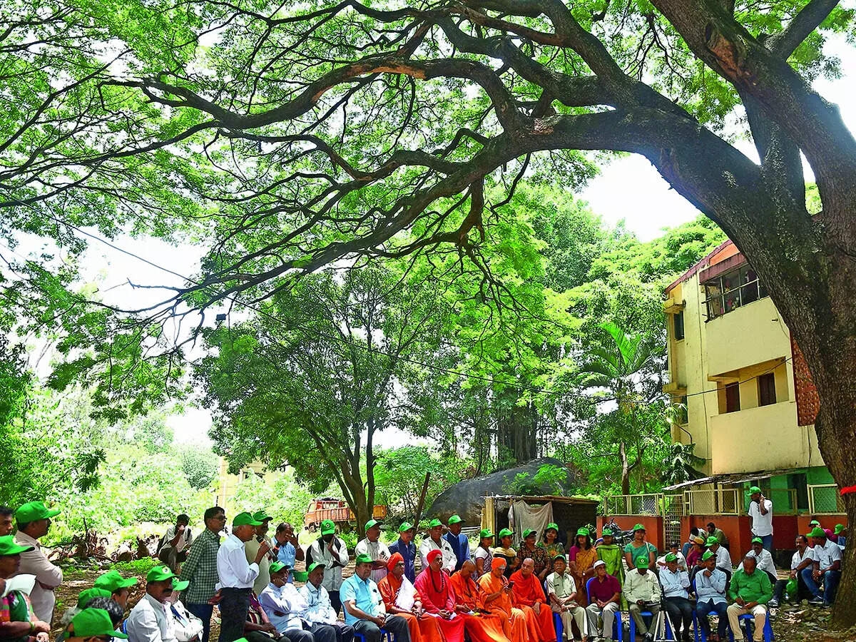BBMP demands clarifications on controversial tree proposal