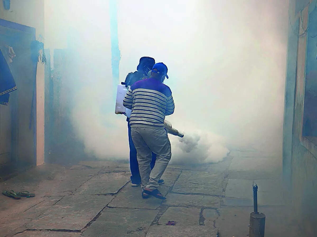 Karnataka battles dengue surge amid rising monsoon health crisis