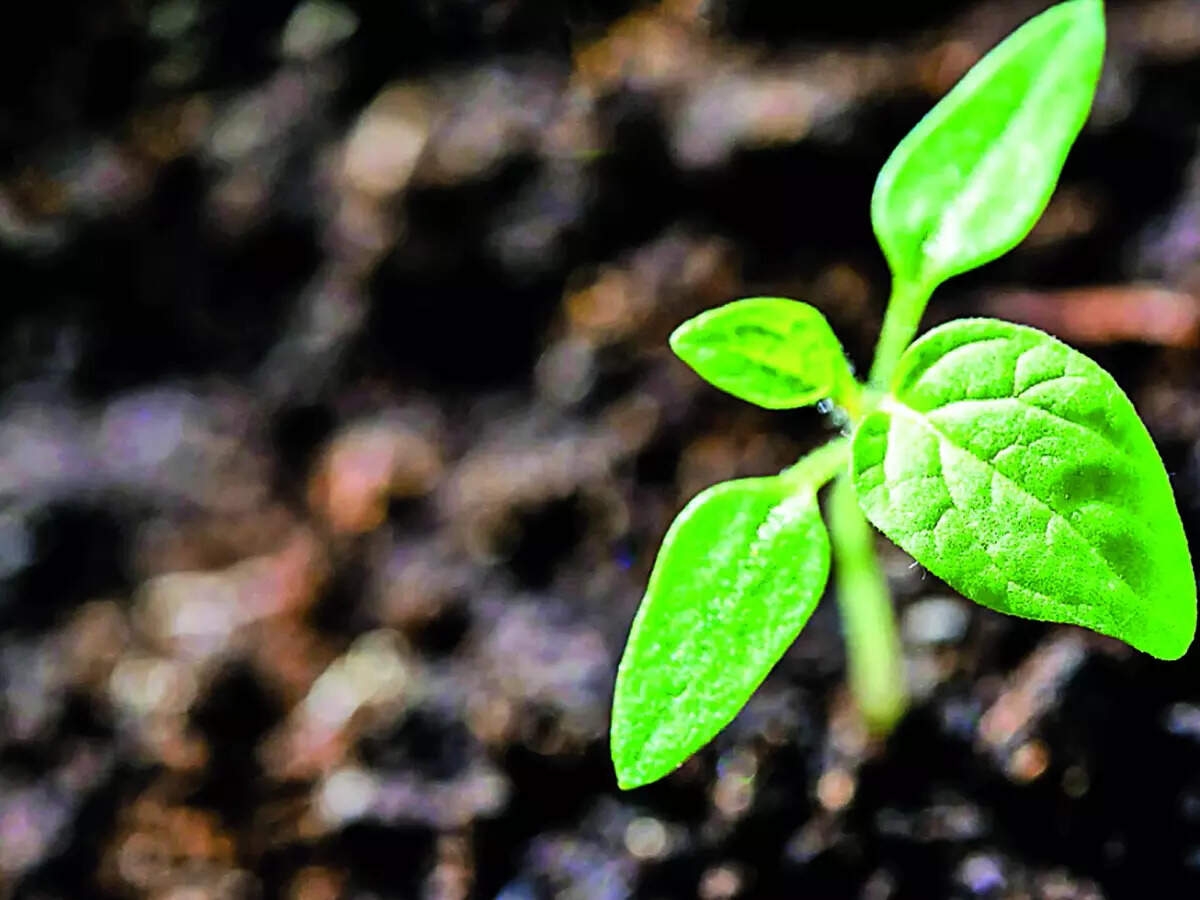 Bengaluru to be made greener