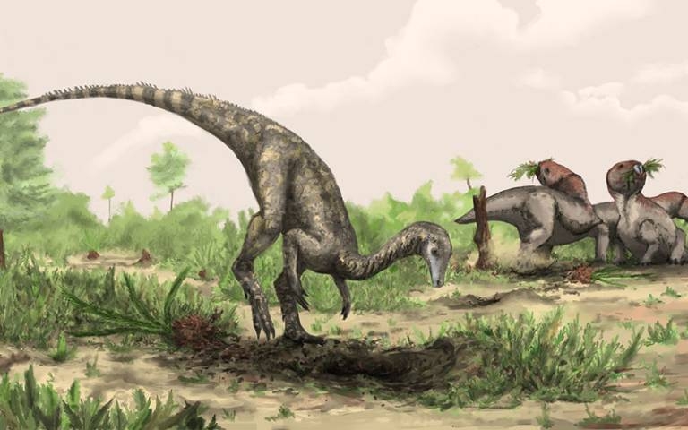 Early dinosaurs likely originated from southern Morocco