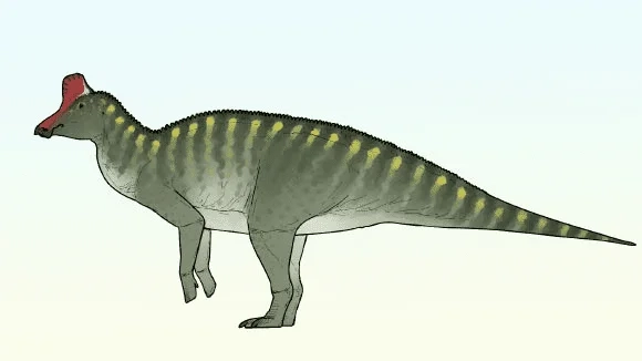Morocco adds a new duckbill dinosaur to its roster with the discovery of Taleta taleta