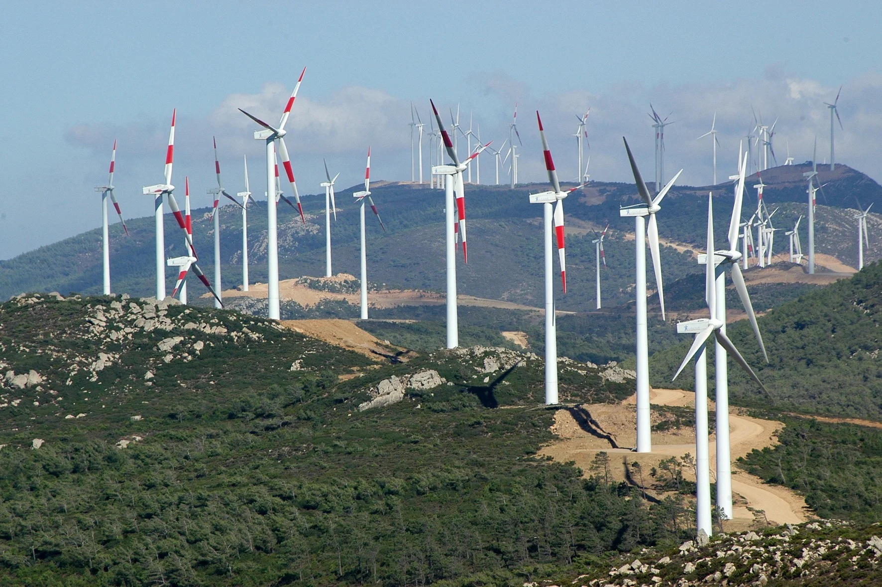 Morocco and Algeria rivalry expands into energy and trade spheres, says U.S. think tanks