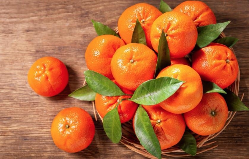 Moroccan mandarins and tomatoes see strong UK demand