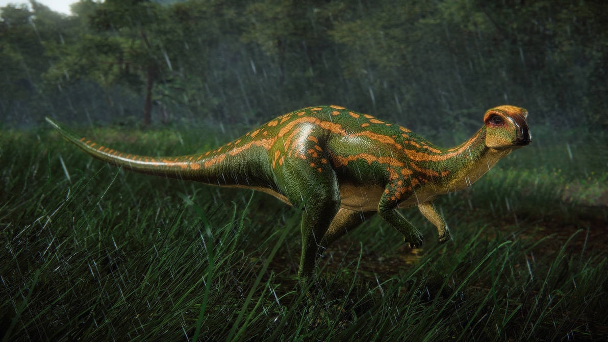 Morocco is home to the world's oldest Cerapodan dinosaur fossil from the Middle Jurassic