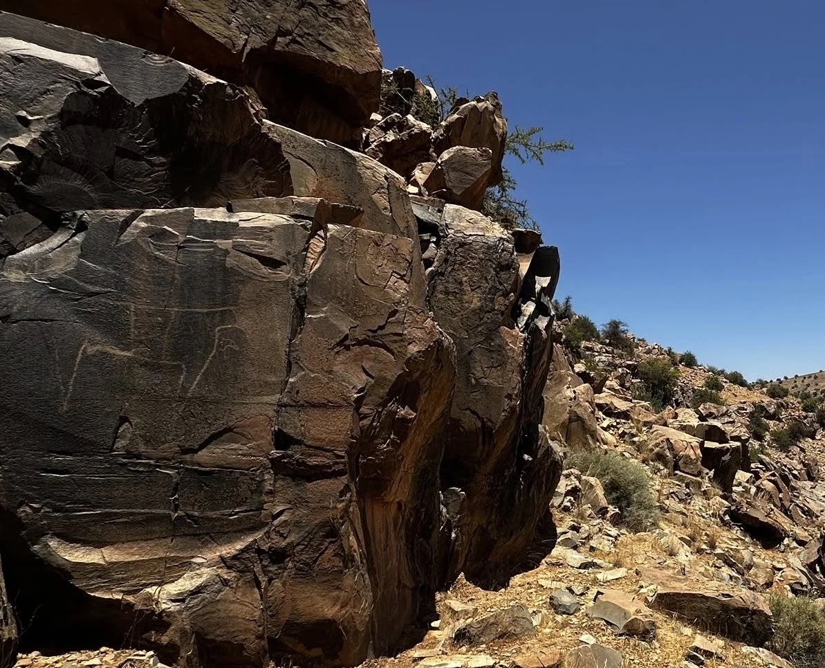 «Valley of the Cows» : Morocco documents previously unstudied cattle engravings in Tiznit