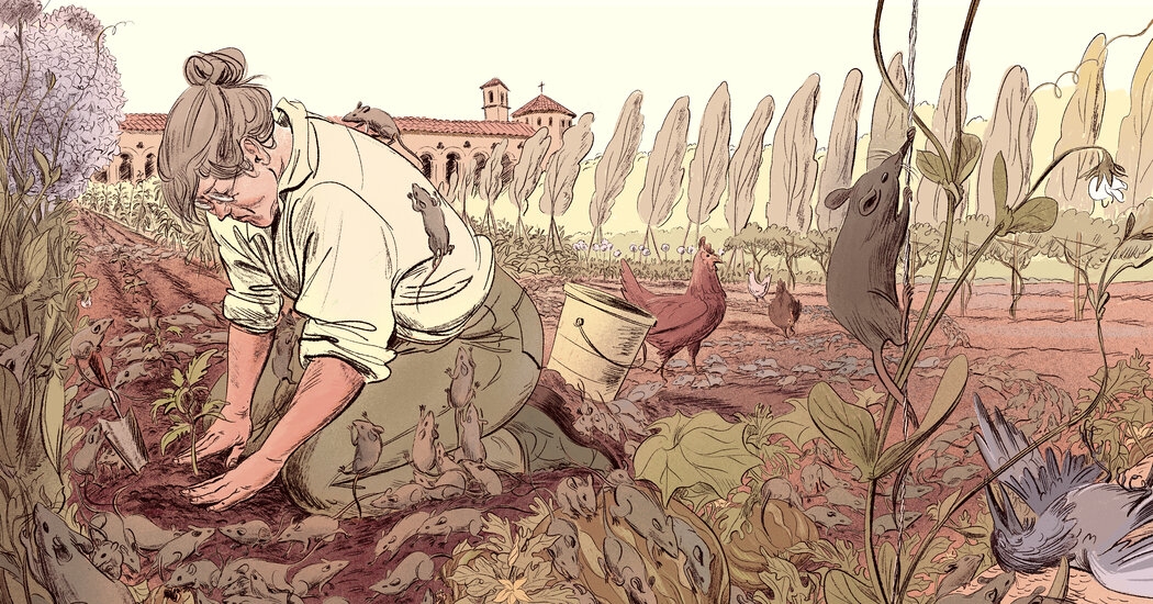 An Exquisite, Wrenching Novel of Leaving Your Life Behind
