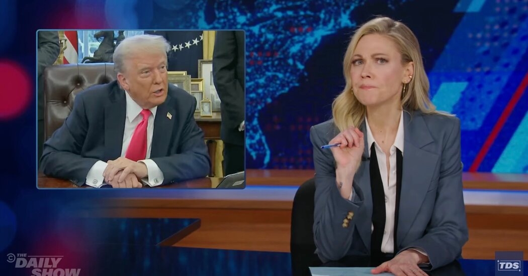 Desi Lydic: Trump Just ‘Put a Cover Charge on America'