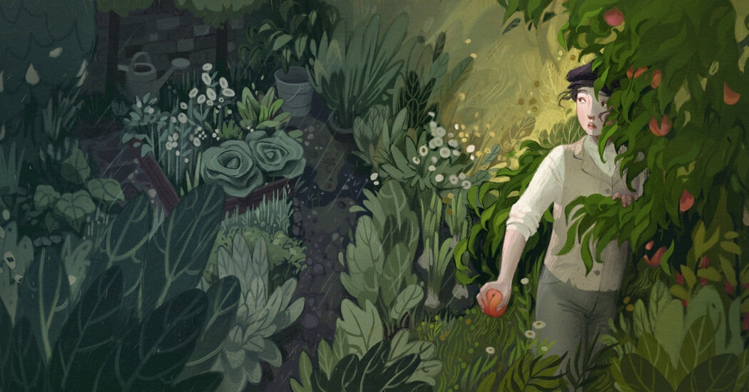 A Garden Writer's Novel Bears Fruit