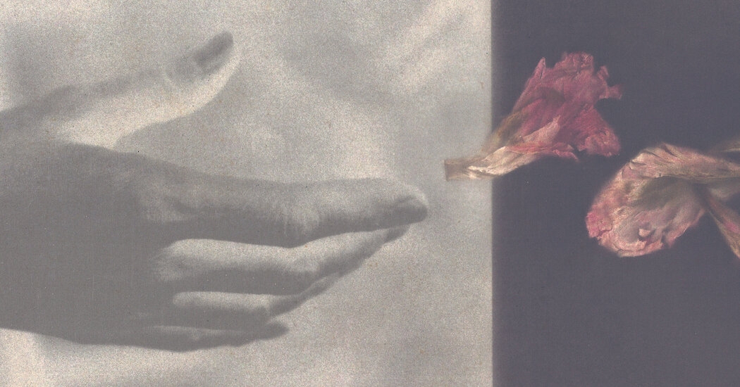 From Welcoming New Life to Mourning Its Loss, in 22 Weeks