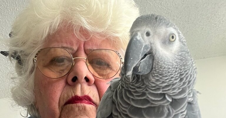 Flight Ban on Parrots Leaves Bronx Grandmother in Limbo for 4 Days
