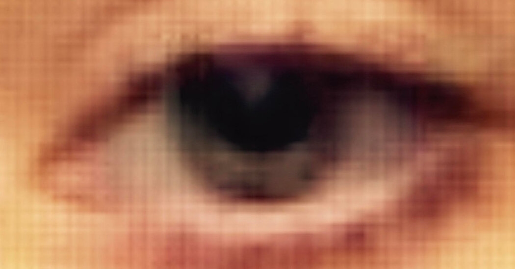 Musk's Parting Gift: The Construction of a Surveillance State