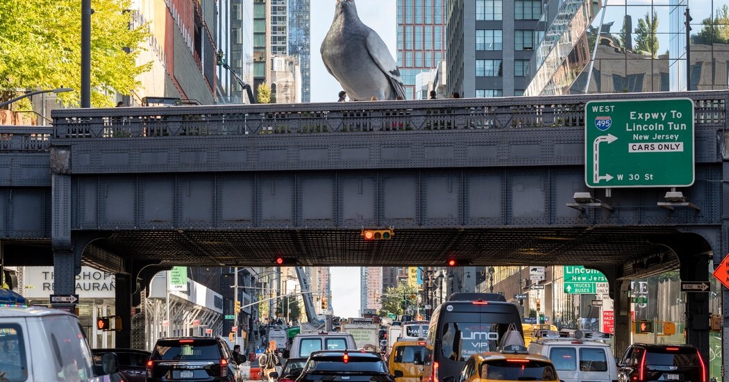 A Celebration of Pigeons? They Have Their Fans.