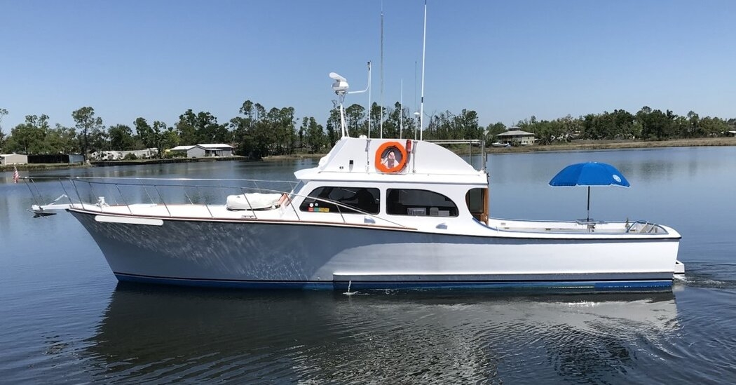 Florida Man Sentenced to 30 Days for Shooting and Poisoning Dolphins