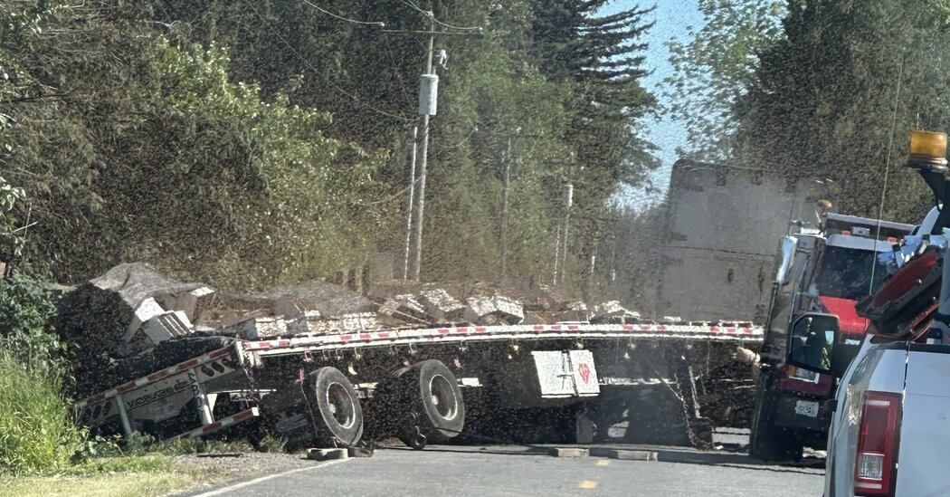 250 Million Honeybees Escape After a Truck Rolls Over in Washington State