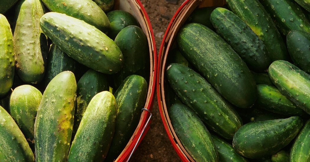 Salmonella Outbreak Linked to Cucumbers Sickens 45 People