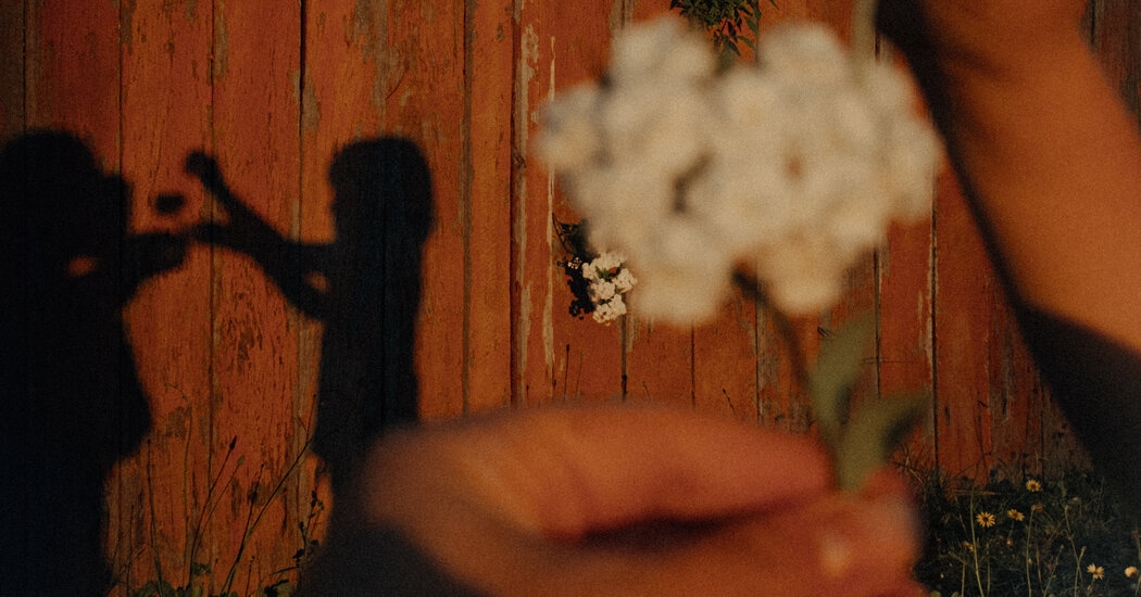 What if Robert Frost's Neighbor Was Right?