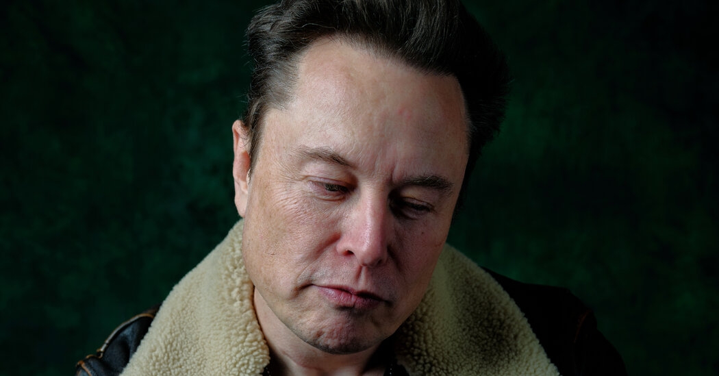 A (Partial) Defense of Elon Musk