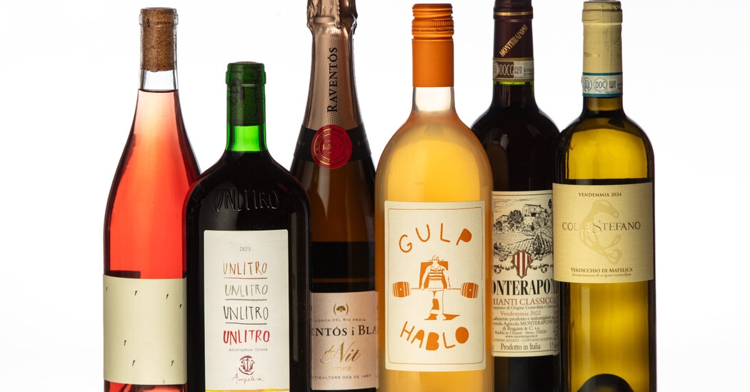 A Starter Pack for Aspiring Wine Lovers
