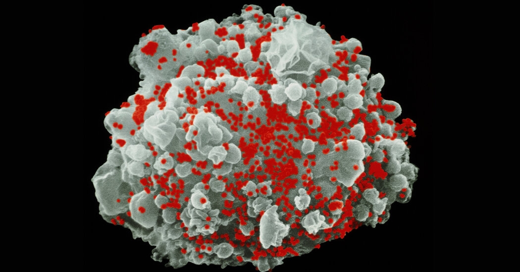 MRNA, Used in Covid Shots, May Help Rid the Body of H.I.V.