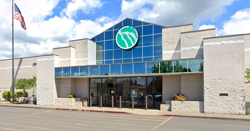 Teenager's Bombing and Mass Shooting Plot at a Mall Is Foiled, F.B.I. Says