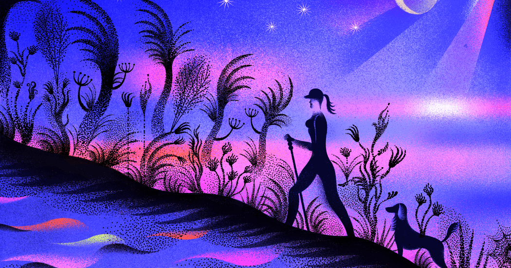 Skin Cancer Made Me Nocturnal. It Was Illuminating.