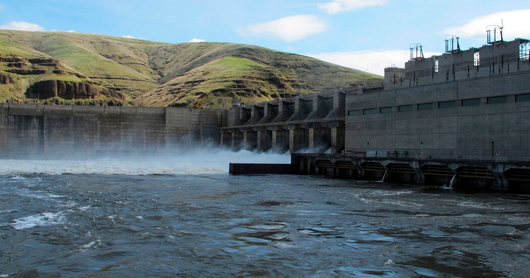 Trump Withdraws From Agreement With Tribes to Protect Salmon
