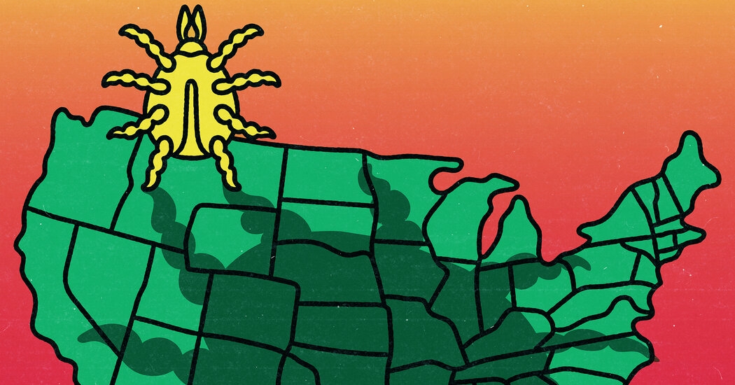 It's Not Just You: The Tick Situation Is Getting Worse