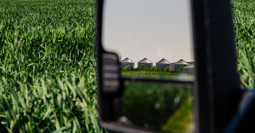 From Food Aid to Dog Chow? How Trump's Cuts Hurt Kansas Farmers.