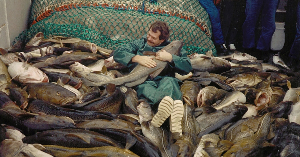 Honey, We Shrunk the Cod