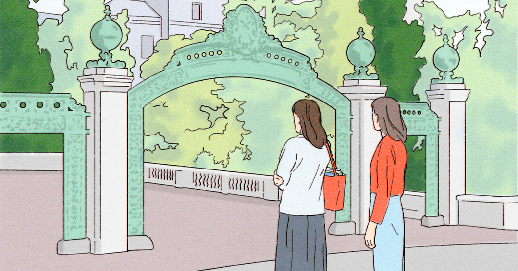 Where I Learned the Power of Looking at Everything