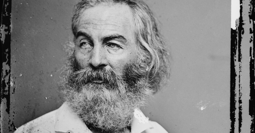 Walt Whitman Would Have Hated This