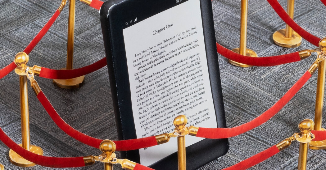 Libraries Pay More for E-Books. Some States Want to Change That.