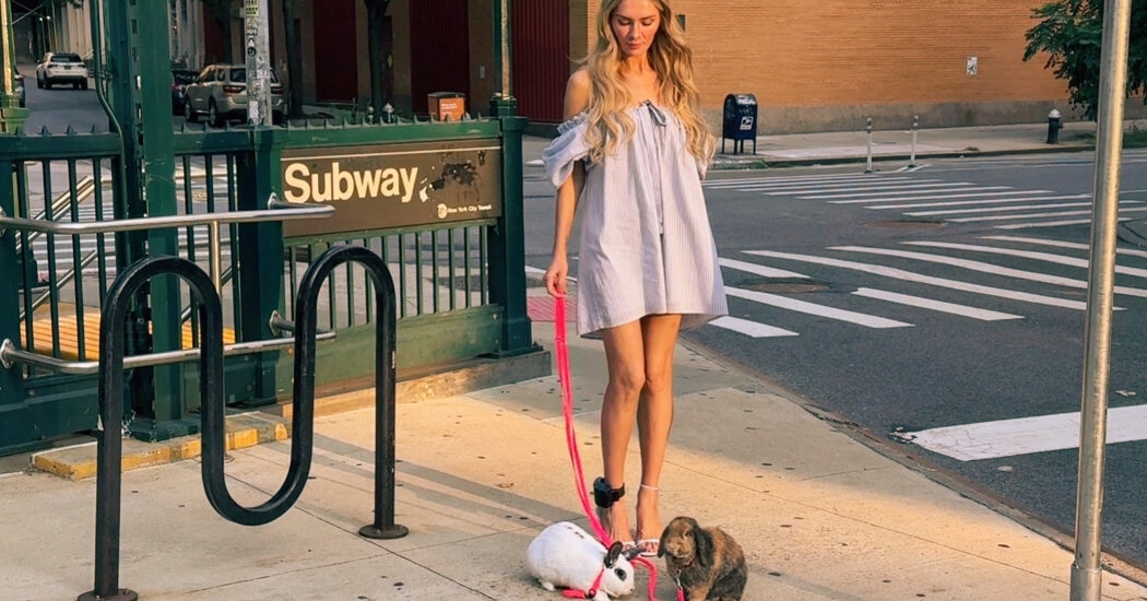 The Fake Heiress, the Instagram Shoot and the Abandoned Bunnies