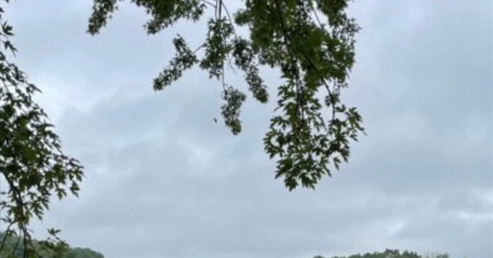 ‘Only a Stream Remains': Minnesota Lake Is Drained After Valve Malfunction