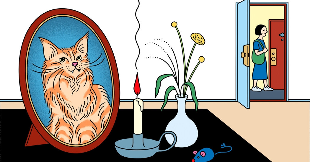 My Neighbor Gave My Injured Cat Morphine. Can I Blame Her for His Death?