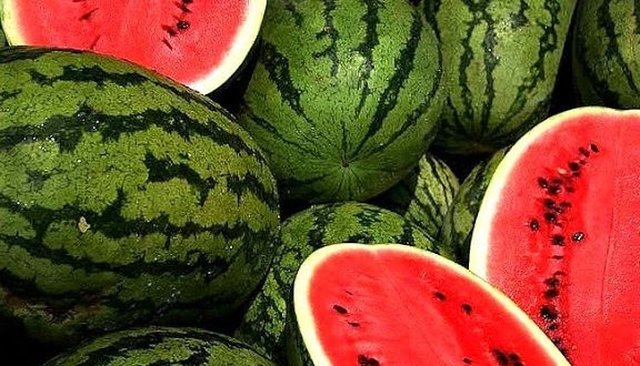 انهيار صادرات 'الدلاح' المغربي إلى السوق الإسبانية