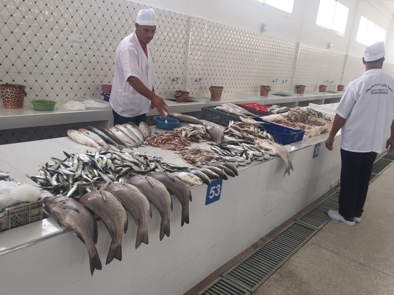 لصحة جيدة.. خبراء ينصحون بنظام غذائي غني بالأسماك