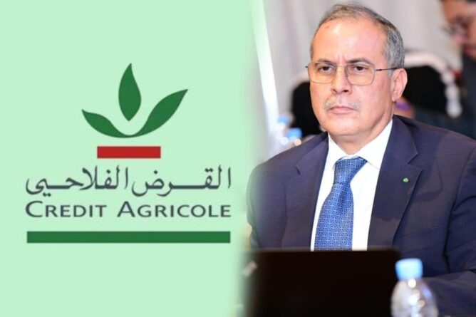 توقيع بروتوكول بين 'القرض الفلاحي' وهيئة الأمم المتحدة لتعزيز الإدماج الاقتصادي للعاملات في قطاع الصيد