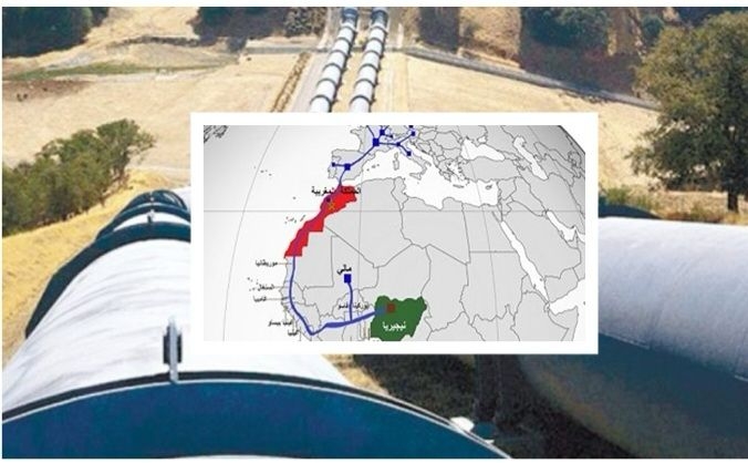 تطورات مهمة في مشروع أنبوب الغاز نيجيريا-المغرب