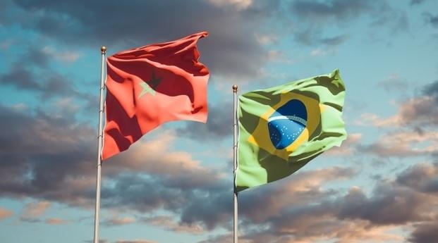 المغرب يتجند للخطر القادم من البرازيل