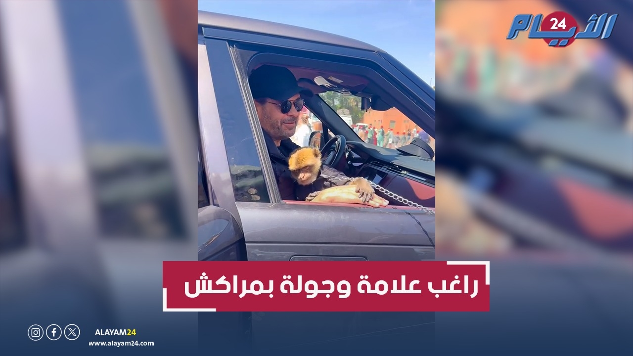 راغب علامة يخطف الأنظار بمداعبته قردا بجامع الفنا