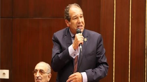 "مستقبل وطن": لا تدخل حكومي أو حزبي في توزيع المقاعد