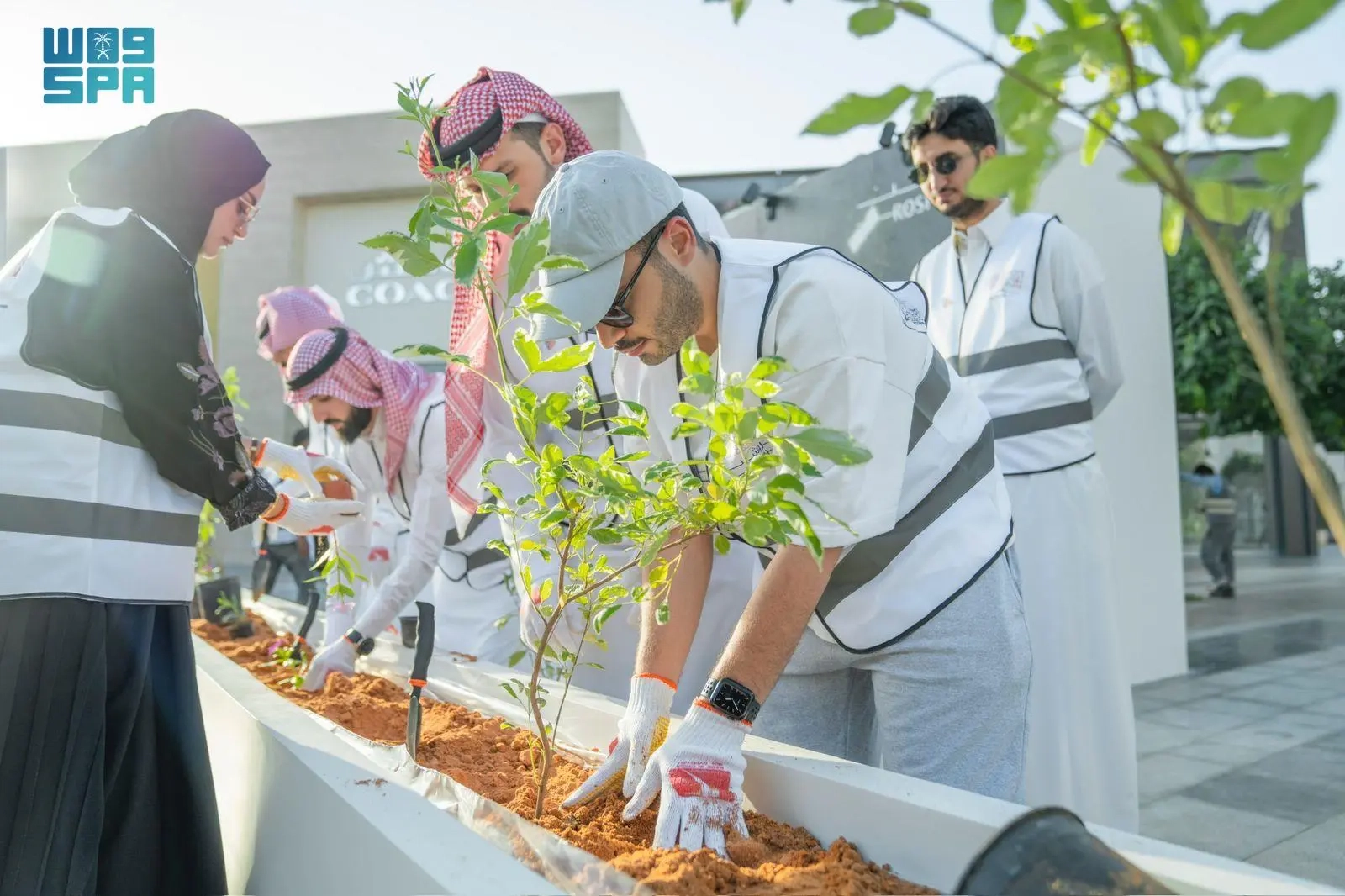 'مجموعة روشن' تحتفي بأسبوع البيئة 2025 عبر مبادرات متنوعة في الرياض وجدة