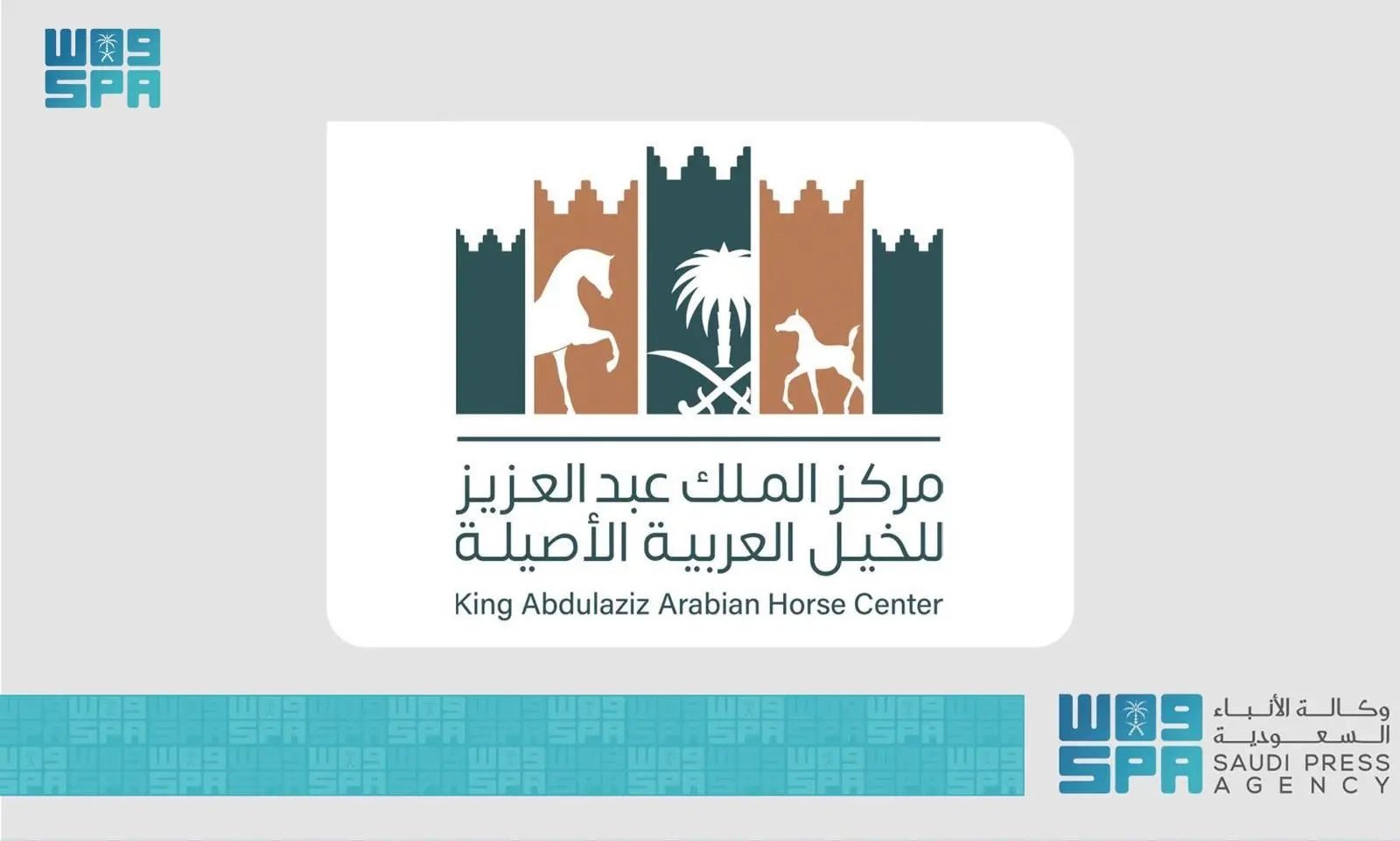 للعام التاسع على التوالي.. المملكة تتصدر دول العالم في إنتاج الخيل العربية الأصيلة